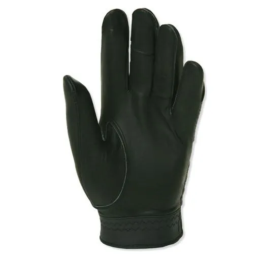 HJ Glove Men's Winter Performance Golf Glove